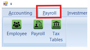 Picture of Payroll tab